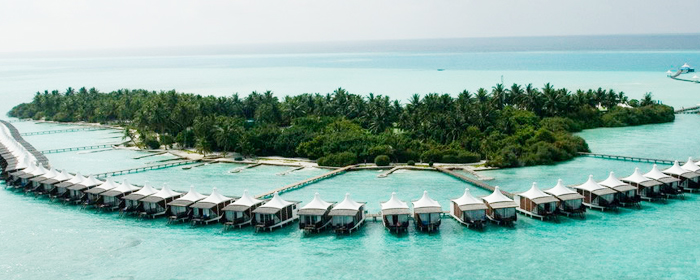 Maldives Honeymooners' Delight